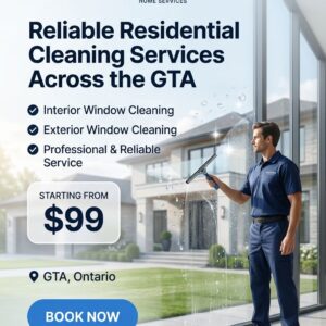 WINDOW CLEANING